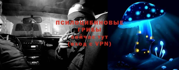 MESCALINE Новодвинск