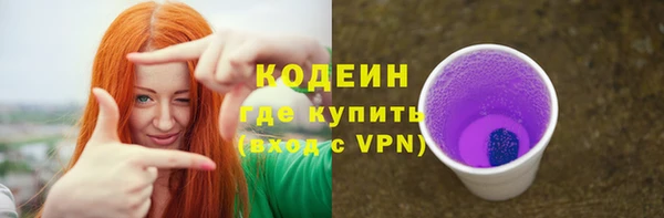 трава Няндома