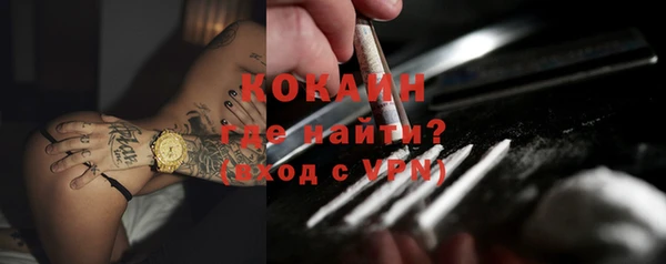 трава Няндома