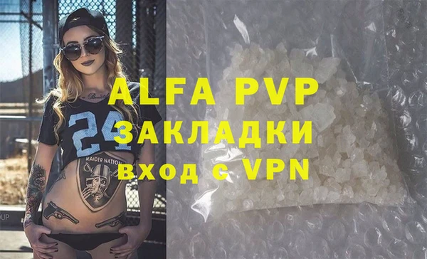 трава Няндома
