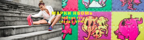трава Няндома