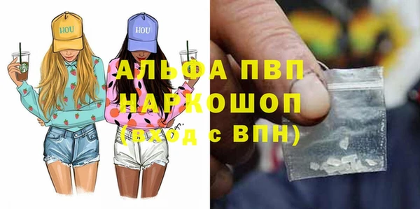 трава Няндома