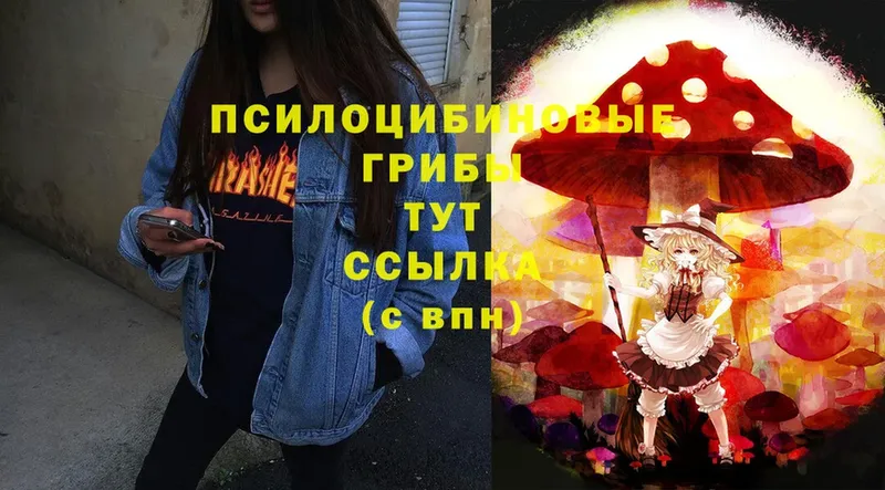 купить наркоту  Костерёво  Галлюциногенные грибы MAGIC MUSHROOMS 